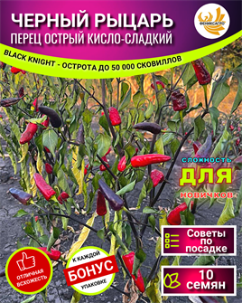 {{photo.Alt || photo.Description || 'ЧЕРНЫЙ РЫЦАРЬ Перец Острый Кисло-Сладкий семена 10 шт + Бонус + Рекомендации по посеву БЕСПЛАТНО!'}}
