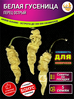 {{photo.Alt || photo.Description || 'Белая Гусеница Перец Острый семена 5 шт + Бонус + Рекомендации по посеву БЕСПЛАТНО!'}}