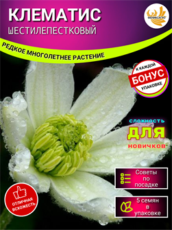 {{photo.Alt || photo.Description || 'Клематис Шестилепестковый Семена 5 шт + Бонус + Рекомендации по посеву БЕСПЛАТНО!'}}