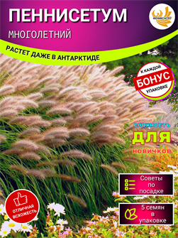 {{photo.Alt || photo.Description || 'Пеннисетум Семена 5 шт + Бонус + Рекомендации по посеву БЕСПЛАТНО!'}}