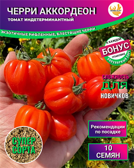 {{photo.Alt || photo.Description || 'Томат Черри Аккордеон семена 10 шт + Бонус + Рекомендации по посеву БЕСПЛАТНО!'}}