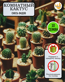 {{photo.Alt || photo.Description || 'Комнатный Кактус МИКС семена 10 шт + Советы по Посеву + Подарок'}}