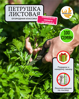 {{photo.Alt || photo.Description || 'Петрушка Листовая - Огородная Классика семена 100шт со Своего Огорода + Советы по Посеву + Подарок'}}