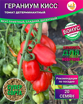 {{photo.Alt || photo.Description || 'Томат Гераниум Кисс семена 20 шт + Бонус + Рекомендации по посеву БЕСПЛАТНО!'}}