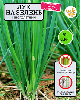 {{photo.Alt || photo.Description || 'Лук Многолетний на Зелень семена 50шт со Своего Огорода + Советы по Посеву + Подарок'}}