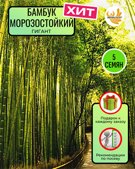 {{photo.Alt || photo.Description || 'Бамбук Гигант Морозостойкий семена 5 шт + Советы по Посеву + Подарок'}}