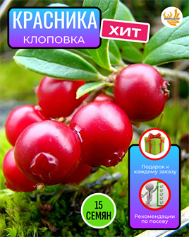 {{photo.Alt || photo.Description || 'Красника Клоповка семена 15 шт + Советы по Посеву + Подарок'}}