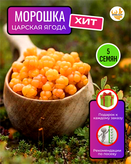 {{photo.Alt || photo.Description || 'Морошка Царская Ягода семена 5 шт + Советы по Посеву + Подарок'}}