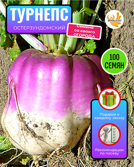 {{photo.Alt || photo.Description || 'Турнепс Остерзундомский семена 100шт со Своего Огорода + Советы по Посеву + Подарок'}}