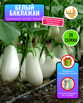 {{photo.Alt || photo.Description || 'Белый Баклажан семена 20 шт + Советы по Посеву + Подарок'}}