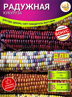 {{photo.Alt || photo.Description || 'Кукуруза РАДУЖНАЯ семена 5 шт + Бонус + Рекомендации по проращиванию'}}