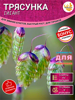 {{photo.Alt || photo.Description || 'ТРЯСУНКА ГИГАНТ семена 10 шт + Бонус + Рекомендации по посеву БЕСПЛАТНО!'}}