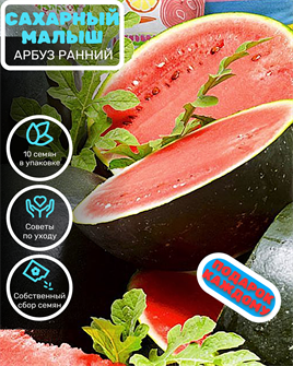 {{photo.Alt || photo.Description || 'Арбуз SUGAR BABY семена 30шт + Бонус + Рекомендации по посеву БЕСПЛАТНО!'}}