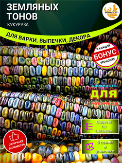 {{photo.Alt || photo.Description || 'Кукуруза ЗЕМЛЯНЫХ ТОНОВ семена 5 шт + Бонус + Рекомендации по проращиванию'}}