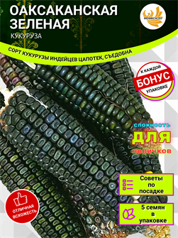 {{photo.Alt || photo.Description || 'Оаксаканская Зеленая Кукуруза семена 5 шт + Бонус + Рекомендации по проращиванию'}}