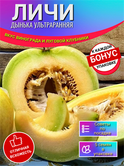 {{photo.Alt || photo.Description || 'МИНИ Дынька ЛИЧИ семена 5шт + Бонус + Рекомендации по посеву БЕСПЛАТНО!'}}