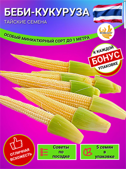 {{photo.Alt || photo.Description || 'БЭБИ-Кукуруза Тайская семена 5 шт + Бонус + Рекомендации по проращиванию'}}