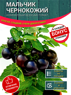 {{photo.Alt || photo.Description || 'Бонсай-Томат Мальчик Чернокожий семена 5 шт + Бонус + Рекомендации по посеву БЕСПЛАТНО!'}}