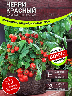 {{photo.Alt || photo.Description || 'Томат Черри Комнатный Красный семена более 10 шт + Бонус + Рекомендации по посеву БЕСПЛАТНО!'}}