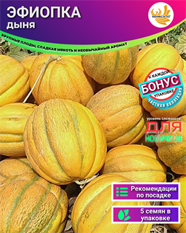 {{photo.Alt || photo.Description || 'Дыня Эфиопка семена 5шт + Бонус + Рекомендации по посеву БЕСПЛАТНО!'}}