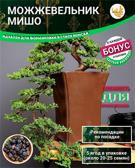 {{photo.Alt || photo.Description || 'Можжевельник МИШО-Семена для Бонсай 5 ягод + Бонус + Рекомендации по посеву БЕСПЛАТНО!'}}