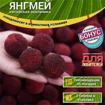 {{photo.Alt || photo.Description || 'Китайская Земляника ЯНГМЕЙ семена 3 шт + Бонус + Рекомендации по посеву БЕСПЛАТНО!'}}