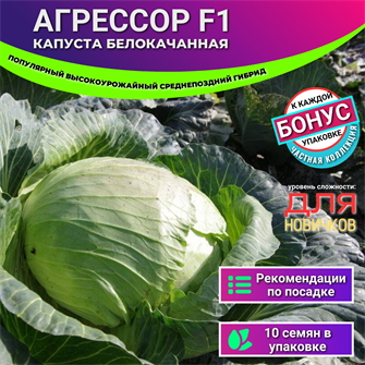 {{photo.Alt || photo.Description || 'Капуста АГРЕССОР семена 10 шт + Бонус + Рекомендации по посеву БЕСПЛАТНО!'}}