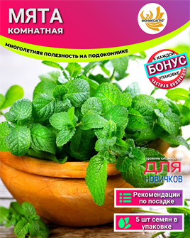 {{photo.Alt || photo.Description || 'Мята Комнатная Многолетняя семена 5 шт + Бонус + Рекомендации по проращиванию'}}