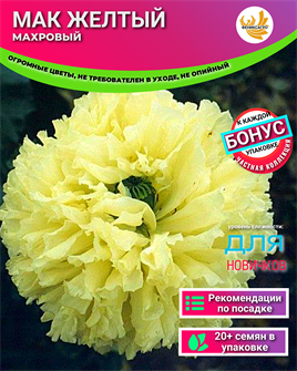 {{photo.Alt || photo.Description || 'Мак Желтый Махровый семена 20 шт + Бонус + Рекомендации по посадке'}}