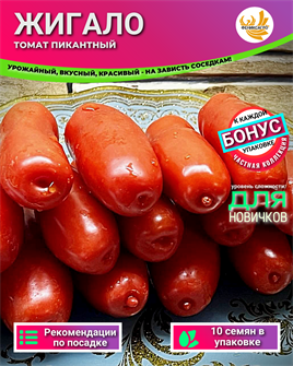 {{photo.Alt || photo.Description || '&quot;ЖИГАЛО&quot; томат Пикантный семена 10 шт Своя Грядка + Бонус + Рекомендации по посеву БЕСПЛАТНО!'}}