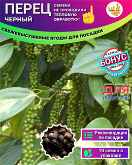 {{photo.Alt || photo.Description || 'Перец Черный для Посадки семена 10 шт + Бонус + Рекомендации по посеву БЕСПЛАТНО!'}}