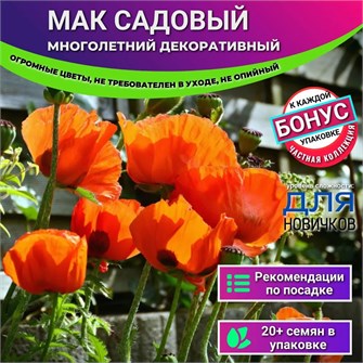 {{photo.Alt || photo.Description || 'Мак Садовый Многолетний семена 20 шт + Бонус + Рекомендации по посеву БЕСПЛАТНО!'}}