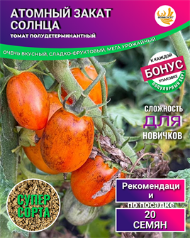 {{photo.Alt || photo.Description || 'Томат Атомный Закат Солнца семена 20 шт + Бонус + Рекомендации по посеву БЕСПЛАТНО!'}}