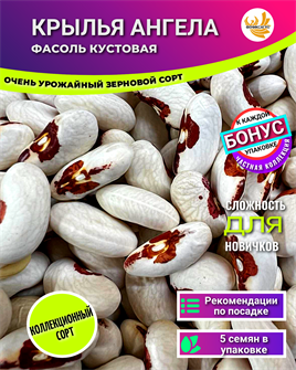 {{photo.Alt || photo.Description || 'Фасоль Крылья Ангела семена 5 шт + Бонус + Рекомендации по посеву БЕСПЛАТНО!'}}