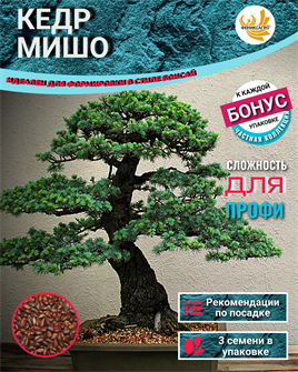 {{photo.Alt || photo.Description || 'Кедр МИШО-Семена для Бонсай 3 шт + Бонус + Рекомендации по посеву БЕСПЛАТНО!'}}