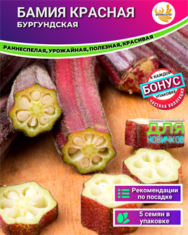 {{photo.Alt || photo.Description || 'Бамия Рэд Бургунди семена 5шт + Бонус + Рекомендации по посеву БЕСПЛАТНО!'}}