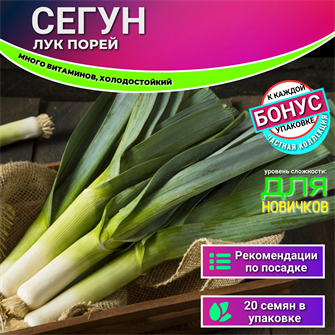 {{photo.Alt || photo.Description || 'Сегун Лук-Порей семена 15шт + Бонус + Рекомендации по посадке БЕСПЛАТНО!'}}