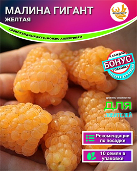 {{photo.Alt || photo.Description || 'Малина Желтый Гигант семена 10 шт + Бонус + Рекомендации по проращиванию БЕСПЛАТНО!'}}