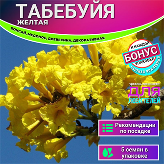 {{photo.Alt || photo.Description || 'Табебуйя Желтая БОНСАЙ Комнатная Семена 5 шт + Бонус + Рекомендации по посеву БЕСПЛАТНО!'}}