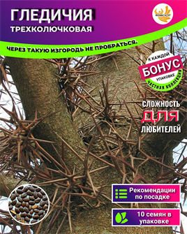 {{photo.Alt || photo.Description || 'Гледичия Трехколючковая семена 10 шт + Бонус + Инструкции по посеву БЕСПЛАТНО!'}}