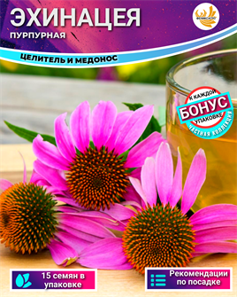 {{photo.Alt || photo.Description || 'Эхинацея Пурпурная Лекарственная Семена 15 шт + Бонус + Рекомендации по посеву БЕСПЛАТНО!'}}