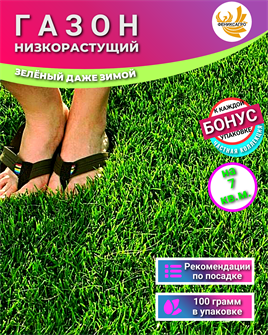 {{photo.Alt || photo.Description || 'Газон НИЗКОРОСЛЫЙ семена 100г на 3,5кв.м. + Бонус + Рекомендации по посадке БЕСПЛАТНО!'}}