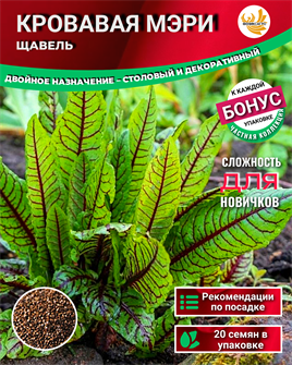 {{photo.Alt || photo.Description || 'Щавель Кровавая Мэри семена 20 шт + Бонус + Рекомендации по проращиванию'}}