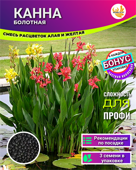 {{photo.Alt || photo.Description || 'Канна Болотная семена 3шт + Бонус + Рекомендации по посеву БЕСПЛАТНО'}}