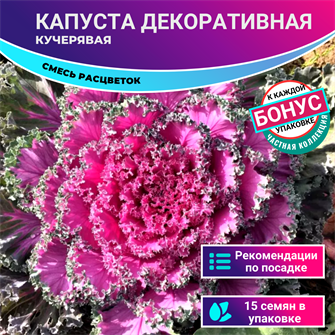 {{photo.Alt || photo.Description || 'Капуста Декоративная Кучерявая Семена 15 шт + Бонус + Рекомендации по посеву БЕСПЛАТНО!'}}