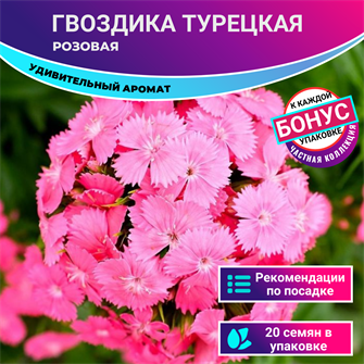 {{photo.Alt || photo.Description || 'Гвоздика Турецкая Розовая Семена 20 шт + Бонус + Рекомендации по посеву БЕСПЛАТНО!'}}