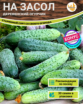 {{photo.Alt || photo.Description || 'Деревенский Огурчик на Засол семена 30шт + Бонус + Рекомендации по посеву БЕСПЛАТНО!'}}