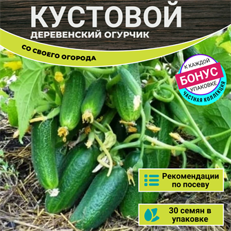 {{photo.Alt || photo.Description || 'Деревенский Огурчик Кустовой семена 30шт + Бонус + Рекомендации по посеву БЕСПЛАТНО!'}}