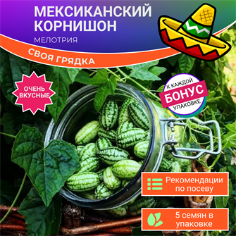 {{photo.Alt || photo.Description || 'Мелотрия Мексиканский Корнишон семена 5 шт + Бонус + Рекомендации по посеву БЕСПЛАТНО!'}}