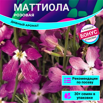 {{photo.Alt || photo.Description || 'Маттиола Розовая семена 30 шт + Бонус + Рекомендации по посеву БЕСПЛАТНО!'}}